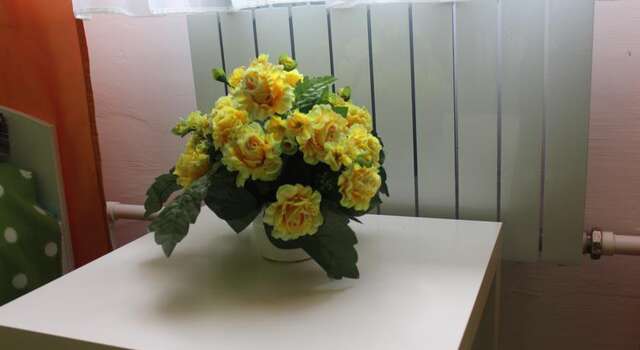 Гостиница Hostel Soyuz + Новосибирск-63